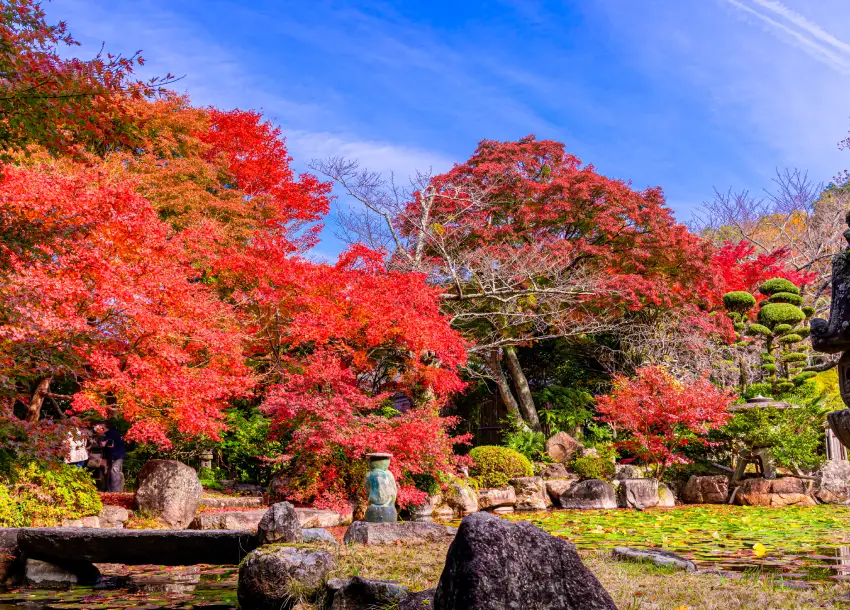 庭園