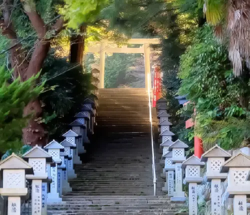 餐食