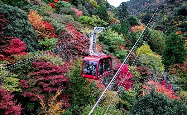 六甲有馬空中纜車