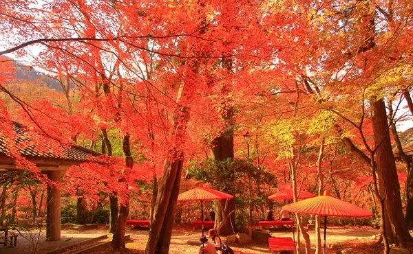 瑞寶寺公園